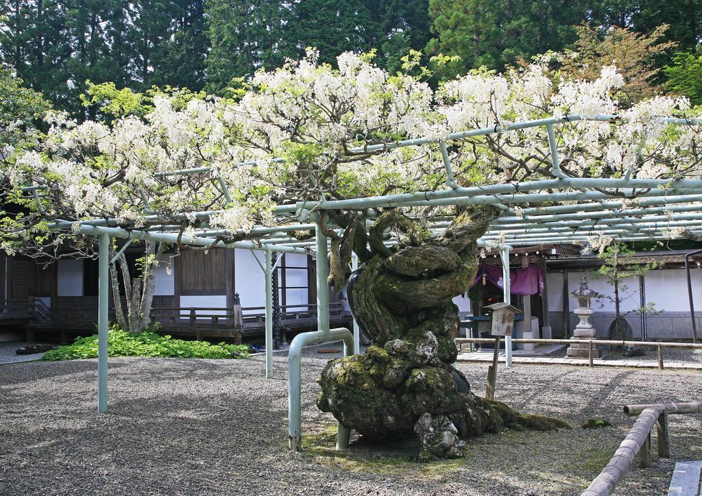 Sojiin Hotel Koyasan Luaran gambar